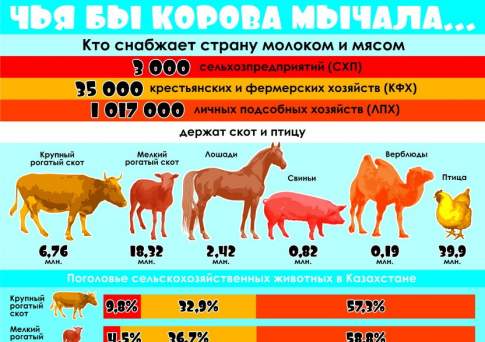 Чья бы корова мычала...